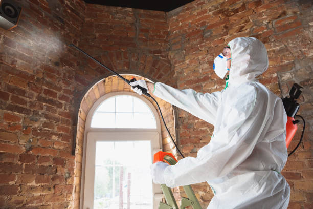 Best Mold Remediation for Healthcare Facilities  in Port Huron, MI